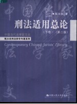 陈兴良刑法研究专著系列  刑法适用总论  下  第2版