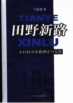 田野新路 农村经济发展理论与实践