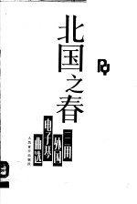 北国之春  三用外国电子琴曲选