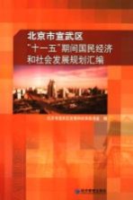 北京市宣武区“十一五”期间国民经济和社会发展规划汇编