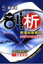 探究开放创造性学习·九年级化学 鲁教版 下