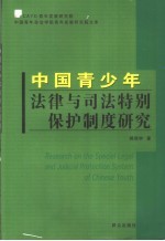 中国青少年法律与司法特别保护制度研究