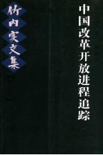 中国改革开放进程追踪  竹内实文集  第7卷