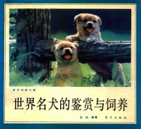 世界名犬的鉴赏与饲养