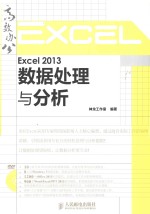 Excel 2013数据处理与分析