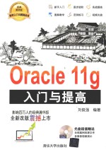 Oracle 11g入门与提高 中文版