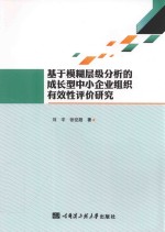 基于模糊层级分析的成长型中小企业组织有效性评价研究