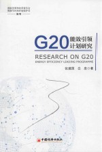 G20能效引领计划研究