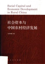 社会资本与中国农村经济发展