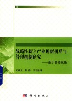 战略性新兴产业创新机理与管理机制研究 基于多维视角