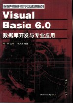 Visual Basic 6.0数据库开发与专业应用