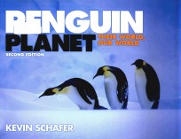 Penguin planet their world