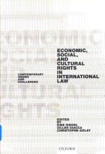 Economic Social and Cultural Rights in International Law Contemporary Issues and Challenges