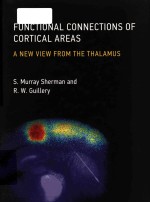 Functional connections of cortical areas a new view from the thalamus