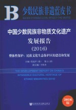 中国少数民族非物质文化遗产发展报告 2016版