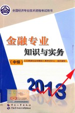 金融专业知识与实务  中级  2013