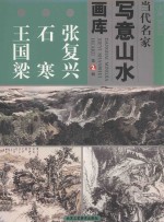 当代名家写意山水画库 2 张复兴 石寒 王国梁