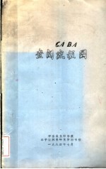 CA BA查阅流程图