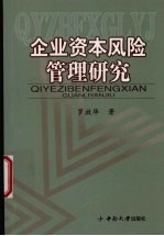 企业资本风险管理研究