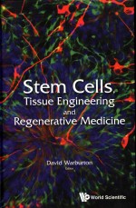 stem cells