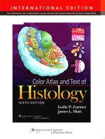 color atlas and text of histology