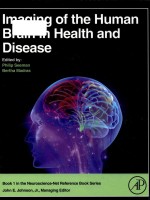 imaging of the human brain in health and disease