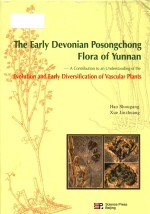 the early devonian posongchong flora of yunnan a contribution to an understanding of the evolution a