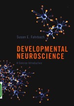 developmental neuroscience a concise introduction