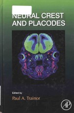 neural crest and placodes