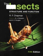 the insects structure and function