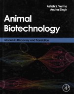 animal biotechnology models in discovery and translation