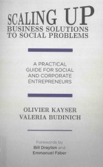 scaling up business solutions to social problemsa practical guide for social and corporate entrepren