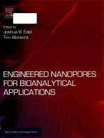 engineered nanopores for bioanalytical applications