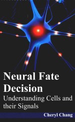 neural fate decision understanding cells and their signals