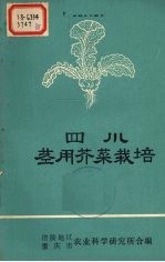 四川茎用芥菜栽培