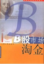 B股市场淘金