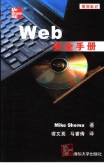 Web安全手册