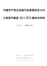 中国共产党云南省巧家县组织史资料 云南省巧家县政权系统军事系统统战系统群团系统组织史资料 1937.7-1987.10