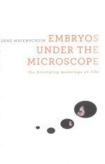 Embryos under the microscope the diverging meanings of life