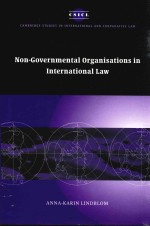 Non-Governmental Organisations in International Law