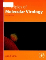 Principles of molecular virology Sixth Edition