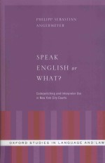 Speak English or What?:Codeswitching and Interpreter use in New York City Courts