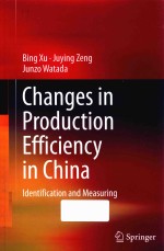 CHANGES IN PRODUCTION EFFICIENCY IN CHINA IDENTIFICATION AND MEASURING