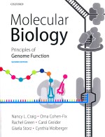 MOLECULAR BIOLOGY PRINCIPLES OF GENOME FUNCTION SECOND EDITION