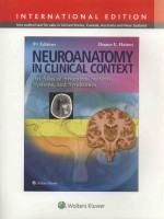 NEUROANATOMY IN CLINICAL CONTEXT 9TH EDITION