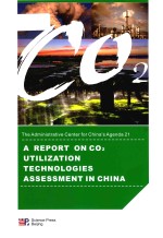 A report on CO2 utilization technologies assessment in China