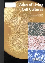 Atlas of living cell cultures