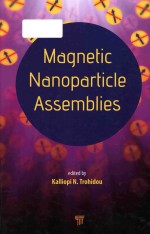 Magnetic nanoparticle assemblies