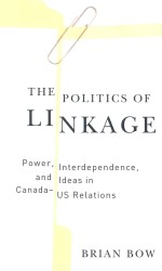 THE POLITICS OF LINKAGA POWER