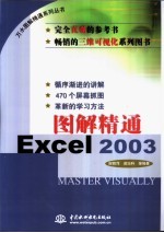 图解精通Excel 2003